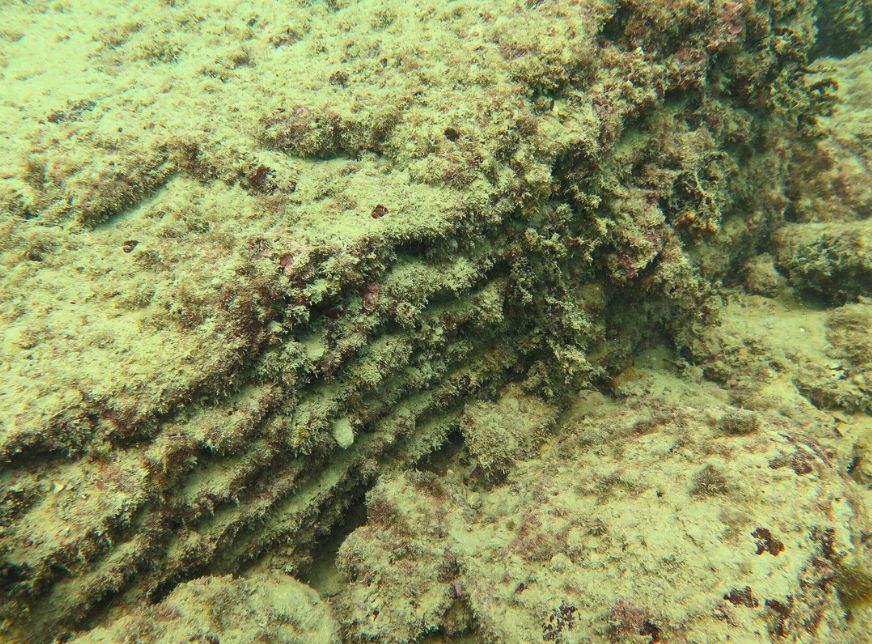 Tauchtour zur Entdeckung des alten Alexandria vom Hafen Alexandria aus